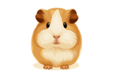 Rodents